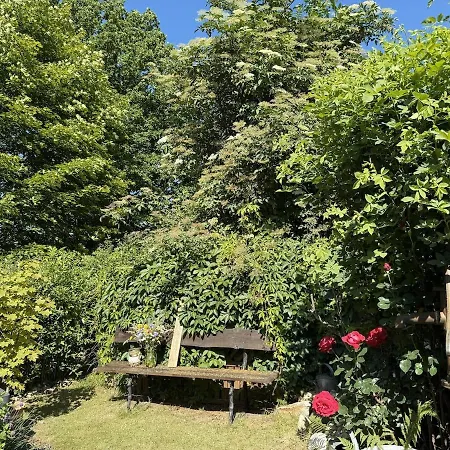 Appartement Gewuerzpension Augustusblick *